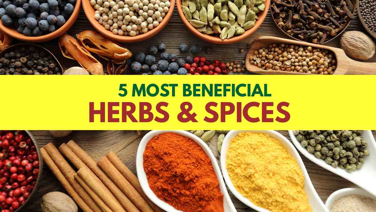 List of Top 5 Most Beneficial Herbs and Spices