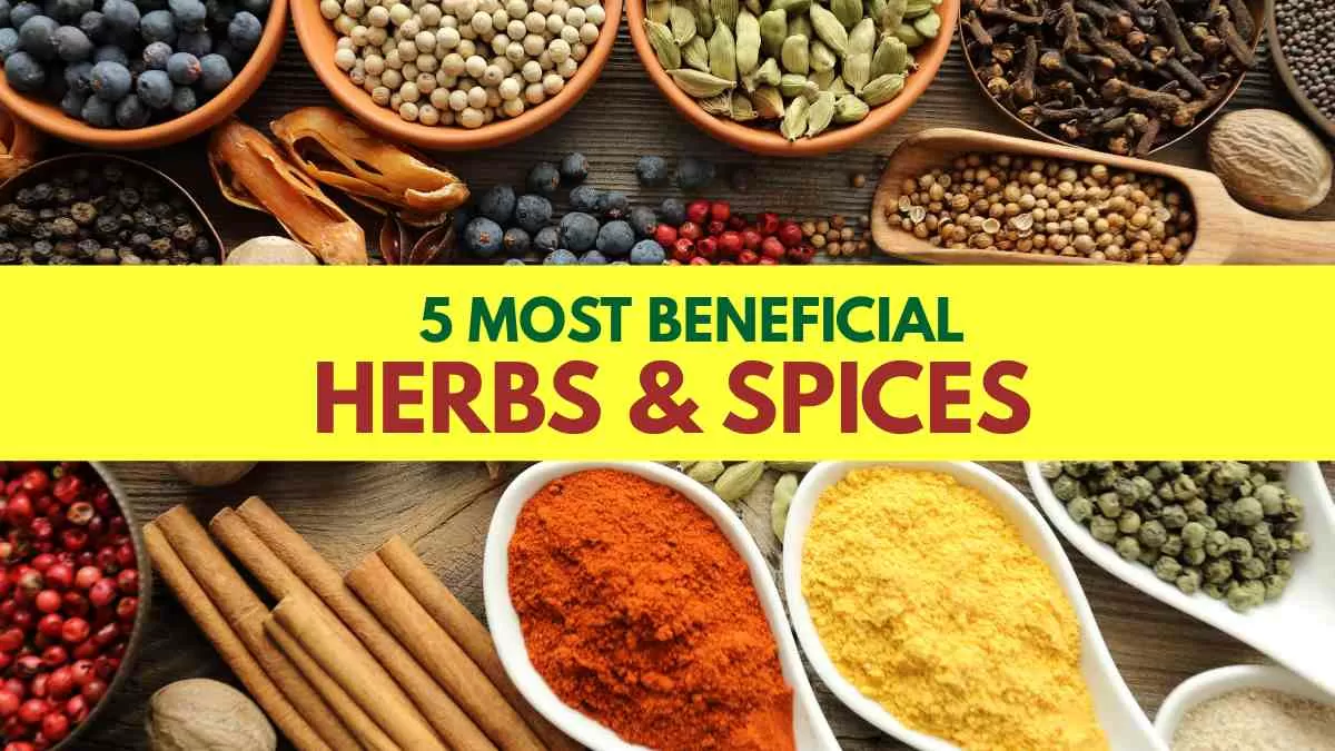 5 Most Beneficial Herbs and Spices