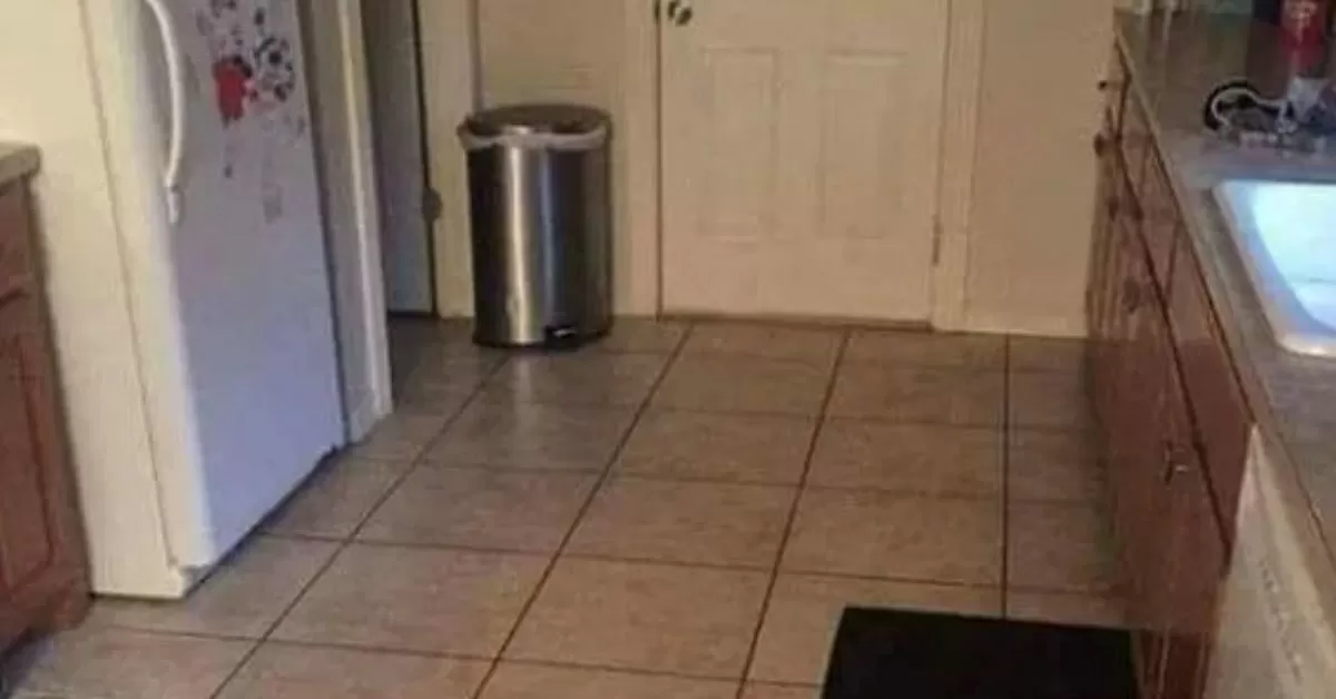 Find the Dog in 9 Seconds And Prove Your Sherlock Skills