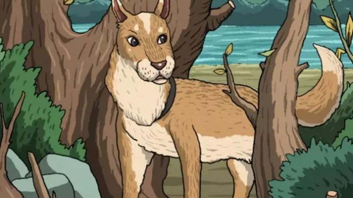 Optical Illusion IQ Test: There’s a cat hiding in the woods! Can you spot it in 5 seconds?