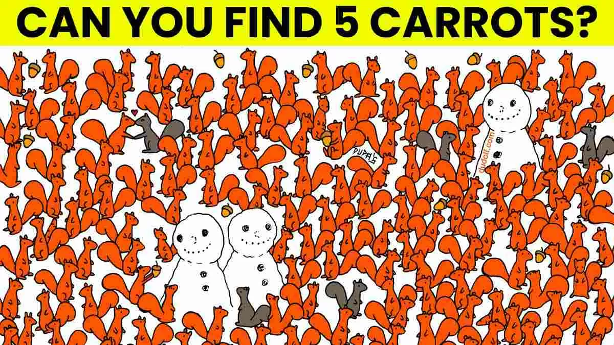 Find 5 carrots.