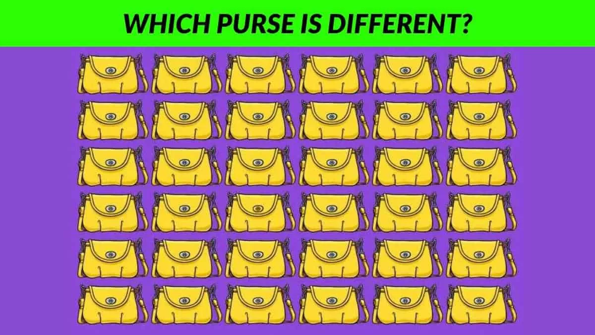 Which purse is different?