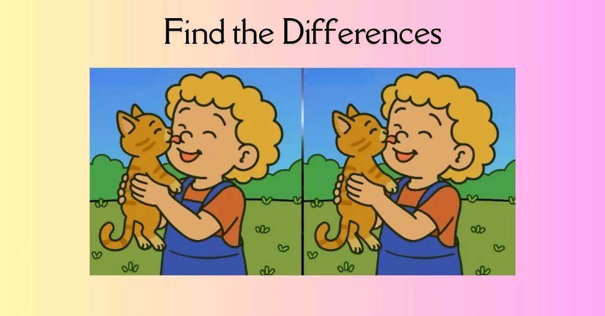  Spot the 3 Differences in Child Playing With a Cat