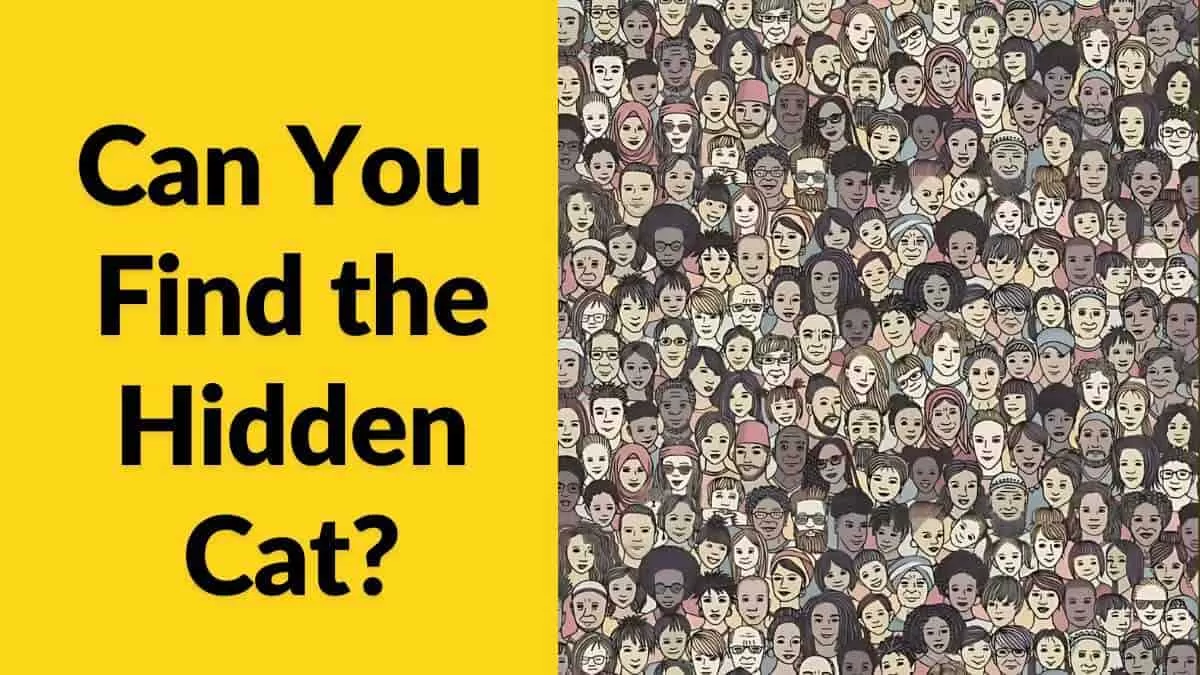 Can you find the hidden cat?