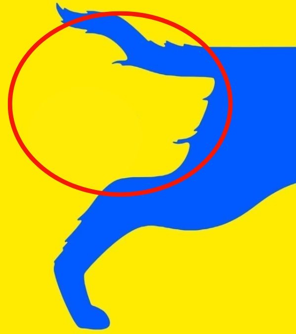 Dog Face or Tail Personality Test