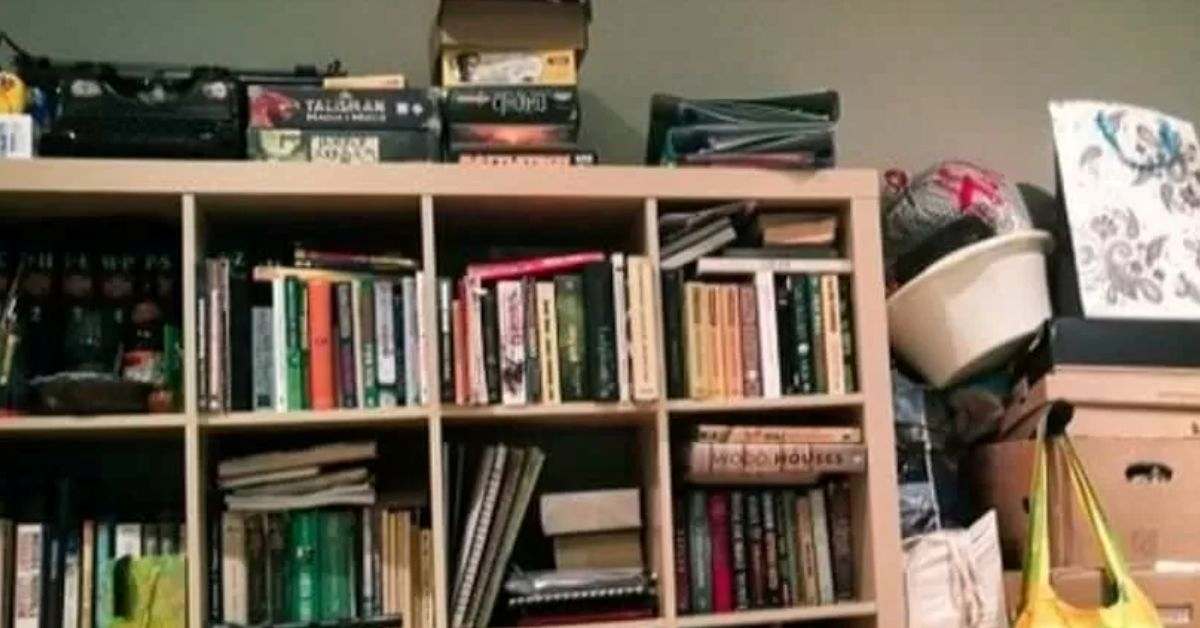 Think You Have Superhuman Eyesight? Spot the Cat Before Time Runs Out!