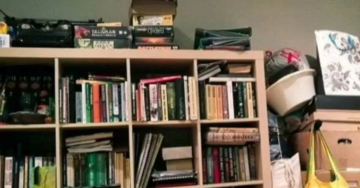 Spot the Hidden Cat in 5 Seconds