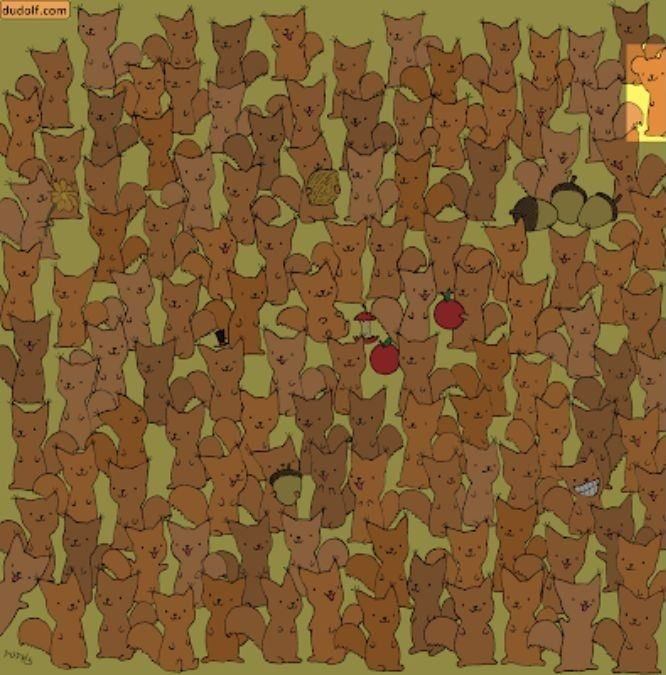 hidden picture puzzles with answers