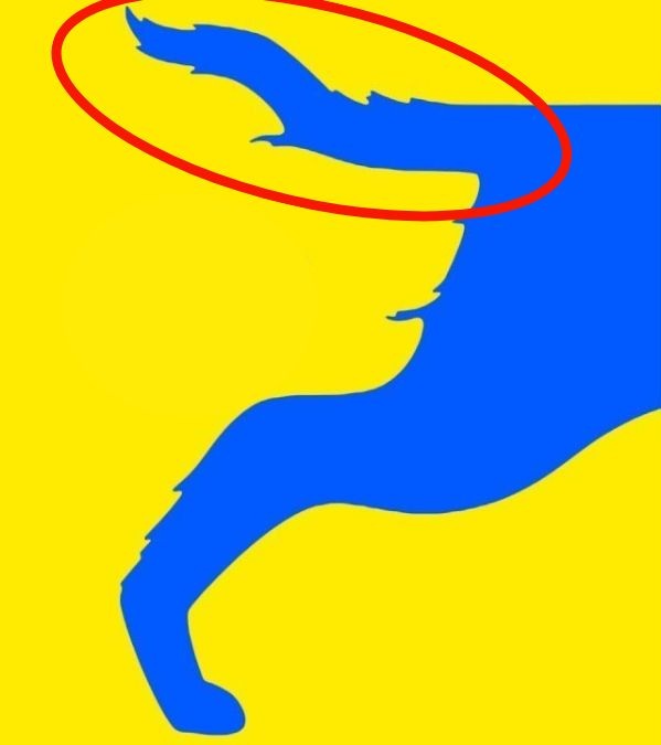 Dog Face or Tail Personality Test