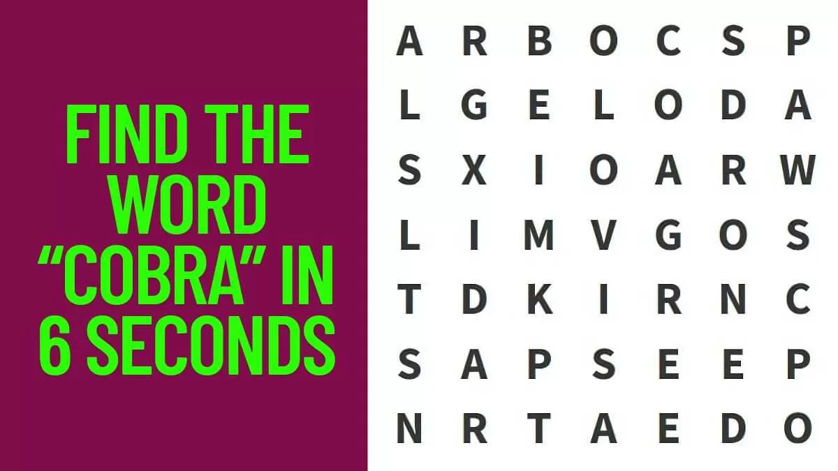 Find the word "COBRA"