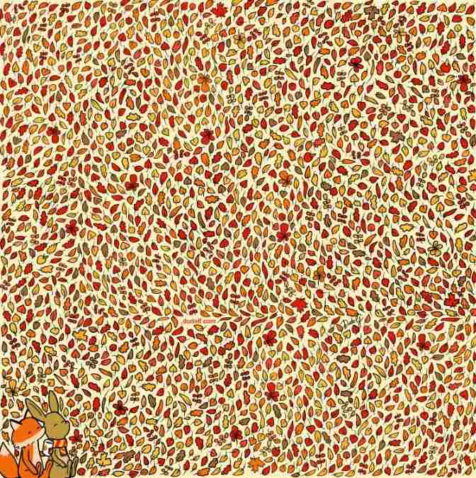 hidden picture puzzles with answers