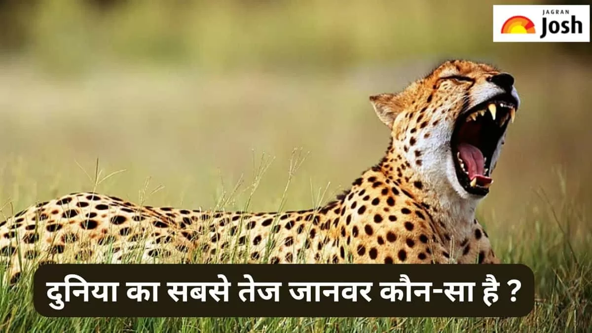 दुनिया का सबसे तेज जानवर