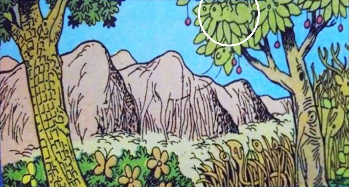 hidden optical illusions with answers