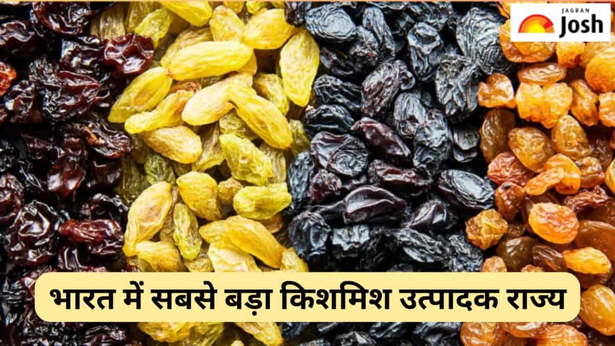 भारत में सबसे बड़ा किशमिश उत्पादक राज्य कौन-सा है, जानें 