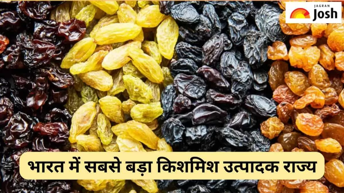 सबसे बड़ा किशमिश उत्पादक राज्य