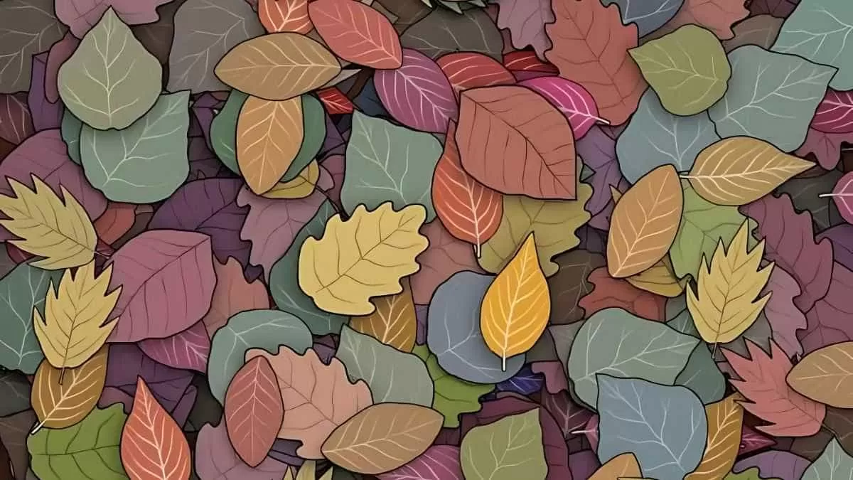 Find the hidden frog