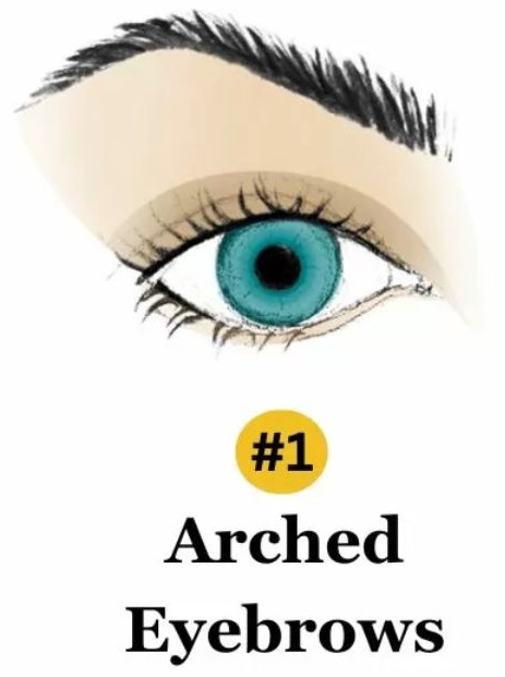 arched eyebrows personality test
