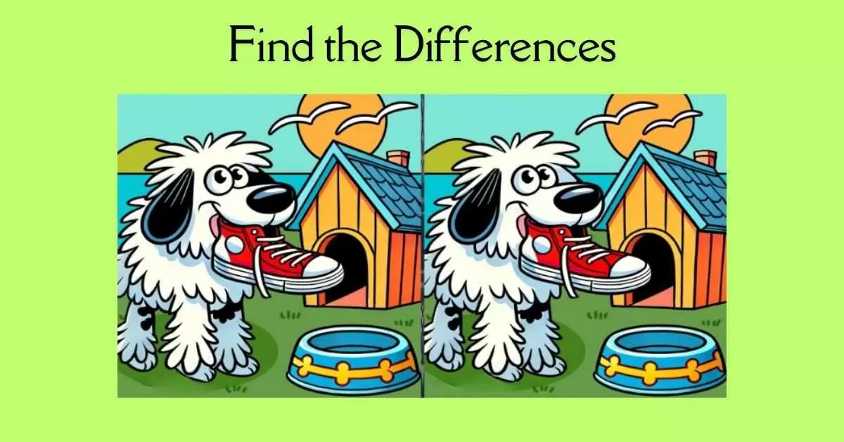 Spot the 3 Differences in Dog Playing With a Shoe