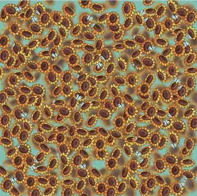 hidden optical illusions with answers