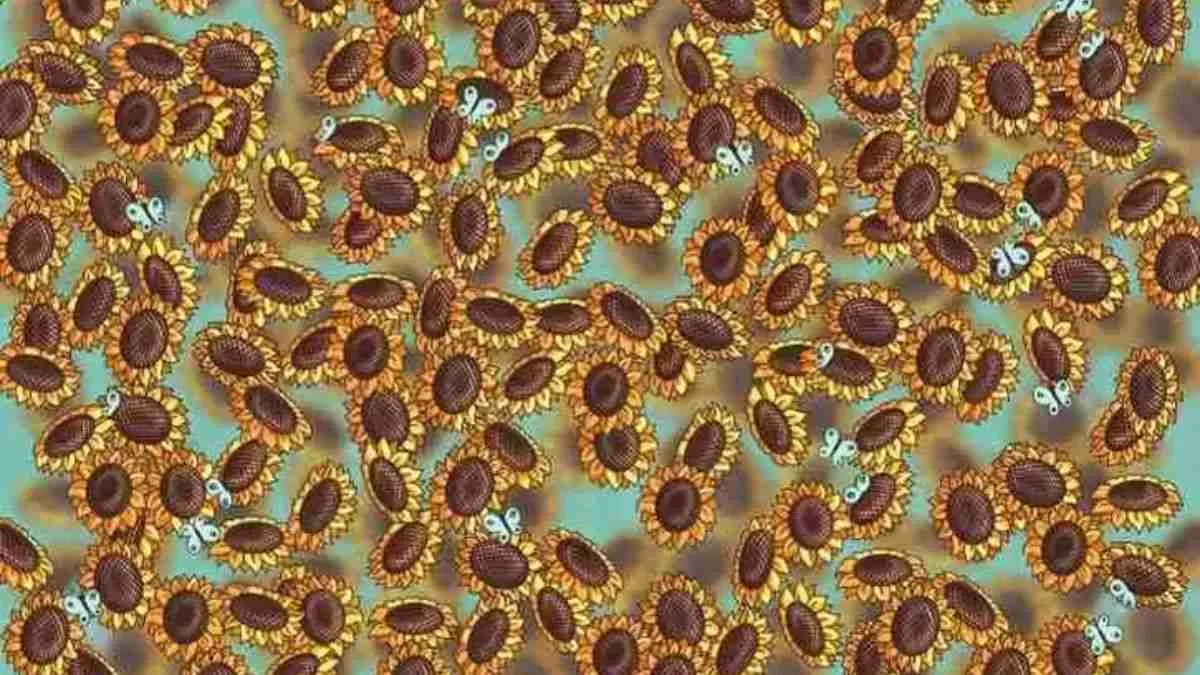Spot The Bee.