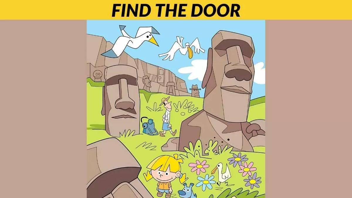 Find the hidden door