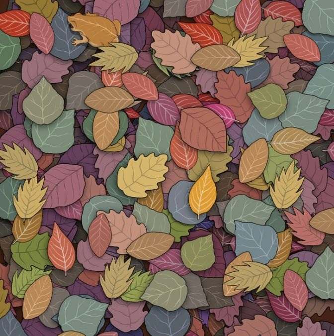 hidden optical illusions with answers