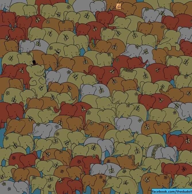 hidden picture puzzles with answers