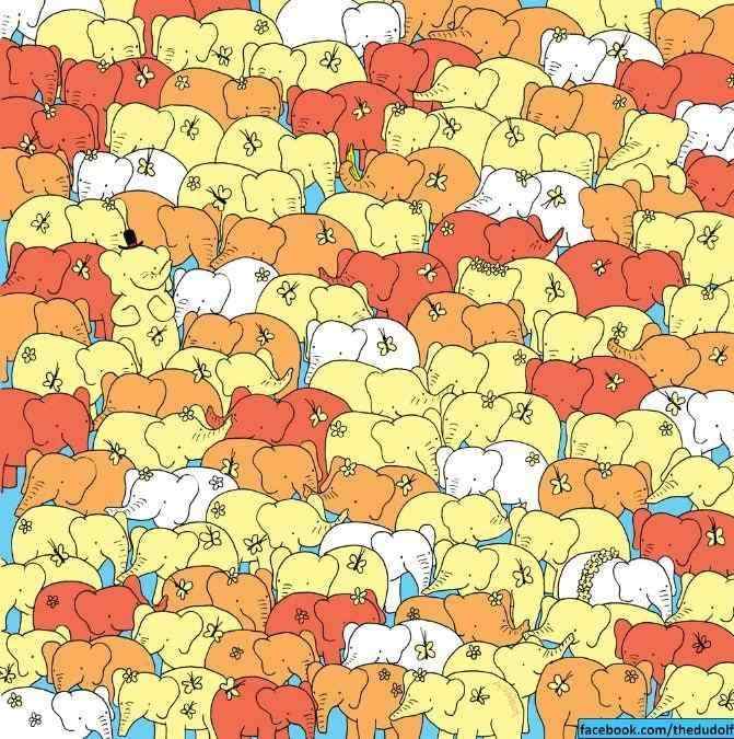 hidden picture puzzles with answers