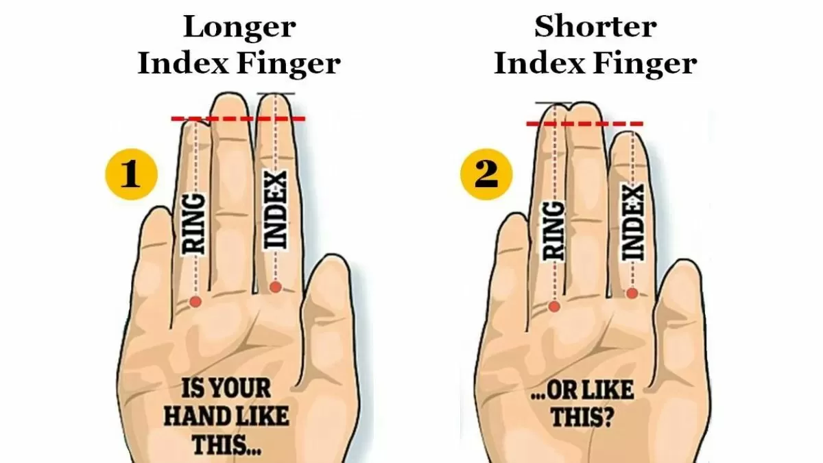 Finger Length Personality Test