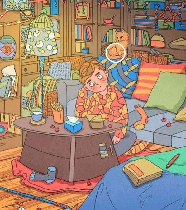 hidden picture puzzles with answers