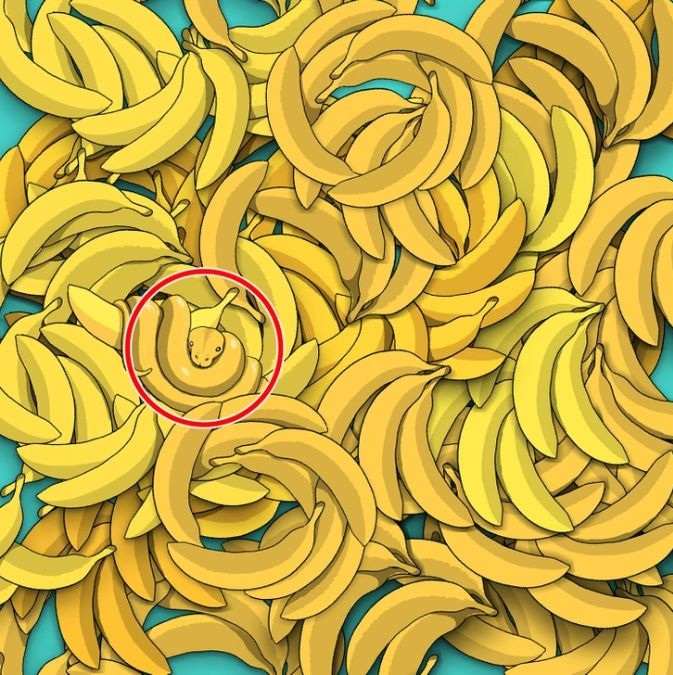 hidden optical illusions with answers