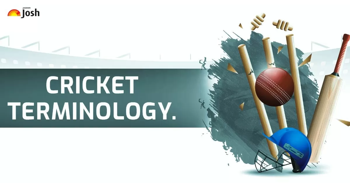 From LBW to Yorker: Must-Know Cricket Terms for New Fans