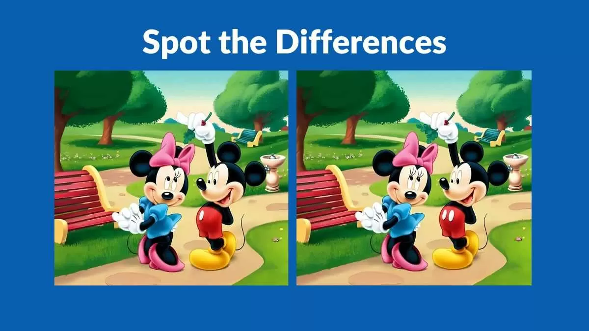 Spot 3 differences in 15 seconds
