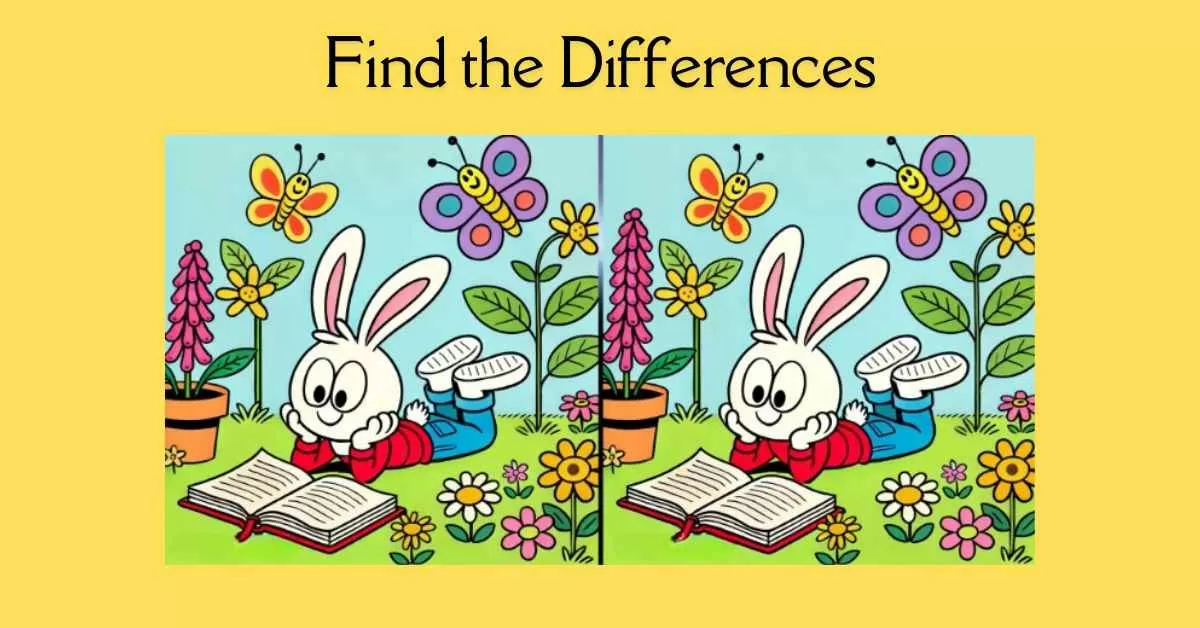 Spot the 3 Differences in Bunny Reading a Book