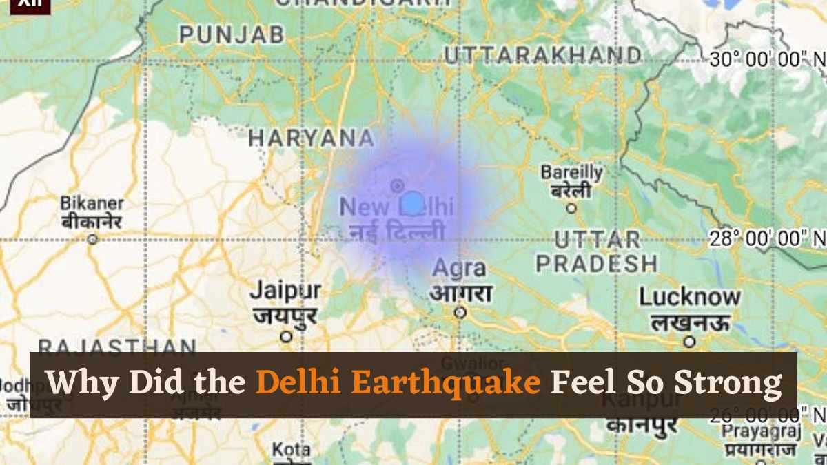 Why Did the Delhi Earthquake Feel So Strong Despite Its Low Magnitude?