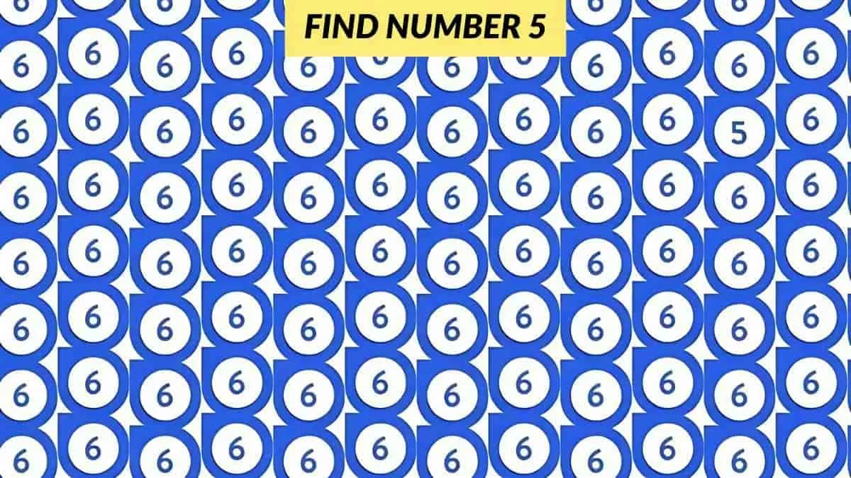 Find the number 5