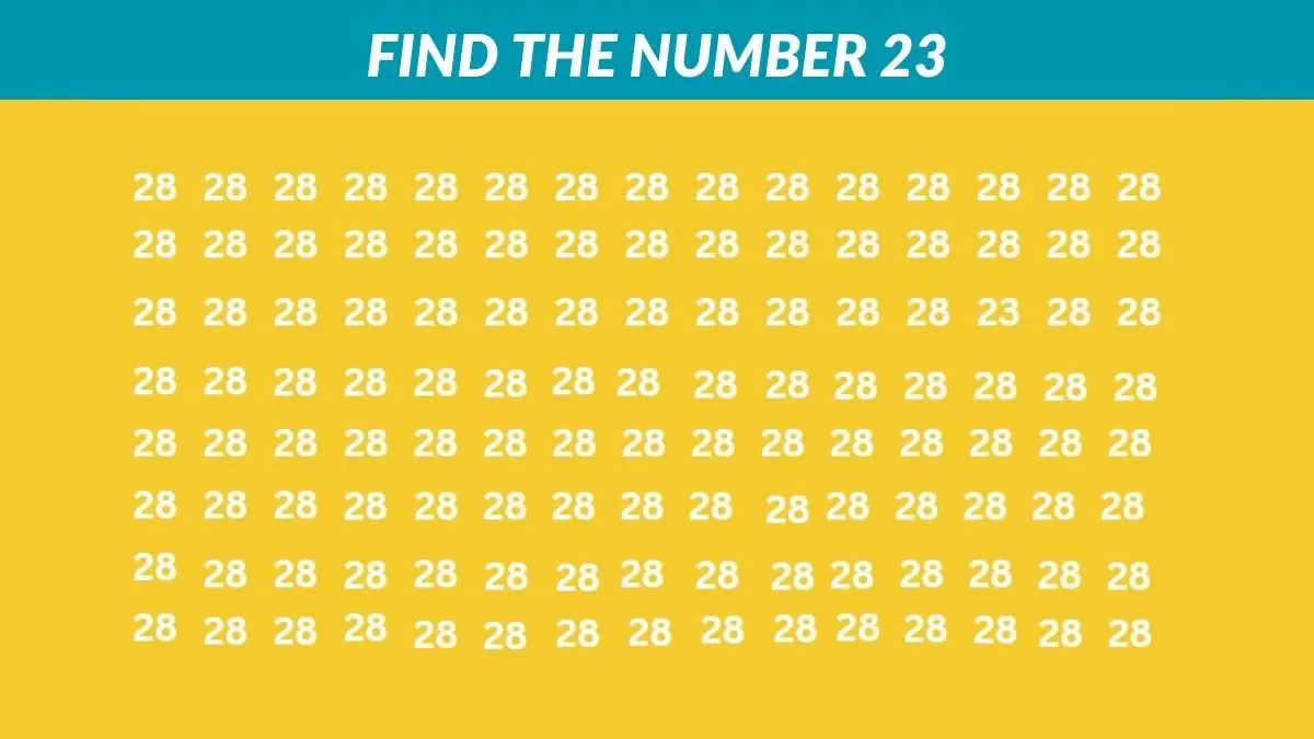 Find the number 23
