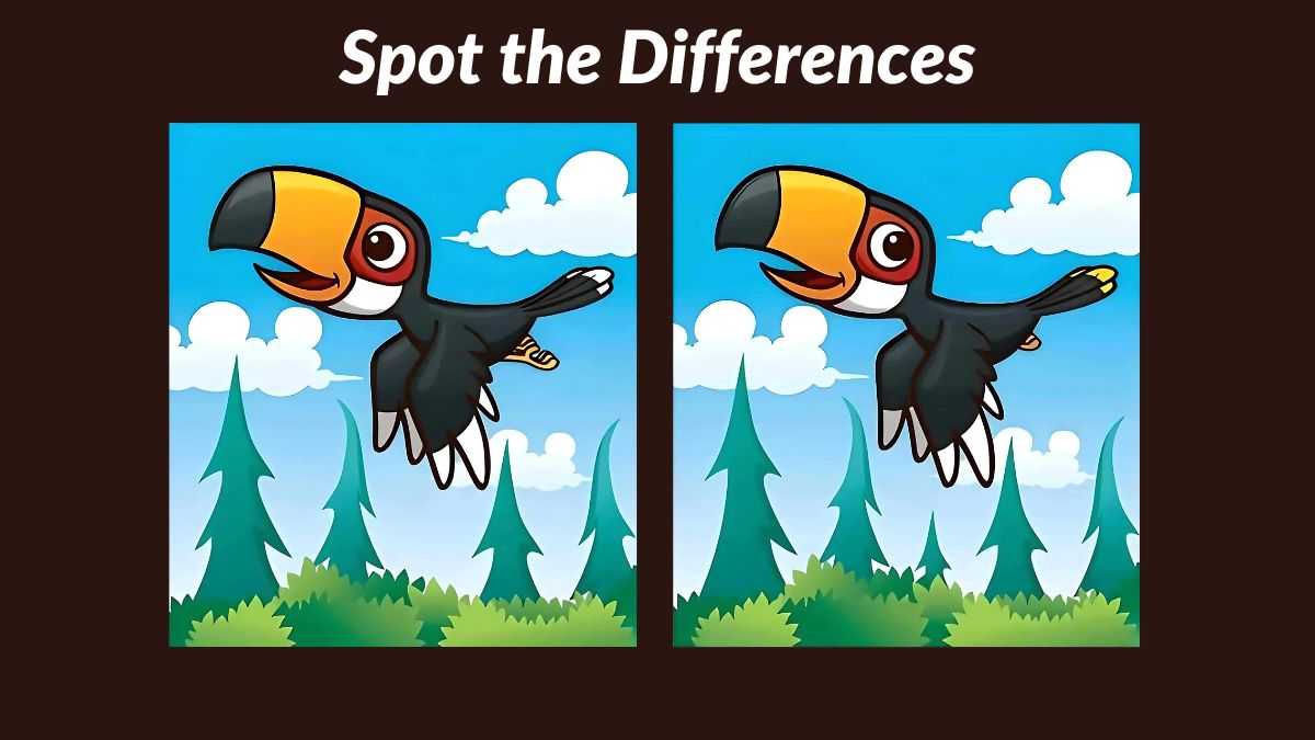 Spot 5 differences between the toucan pictures in 21 seconds! 