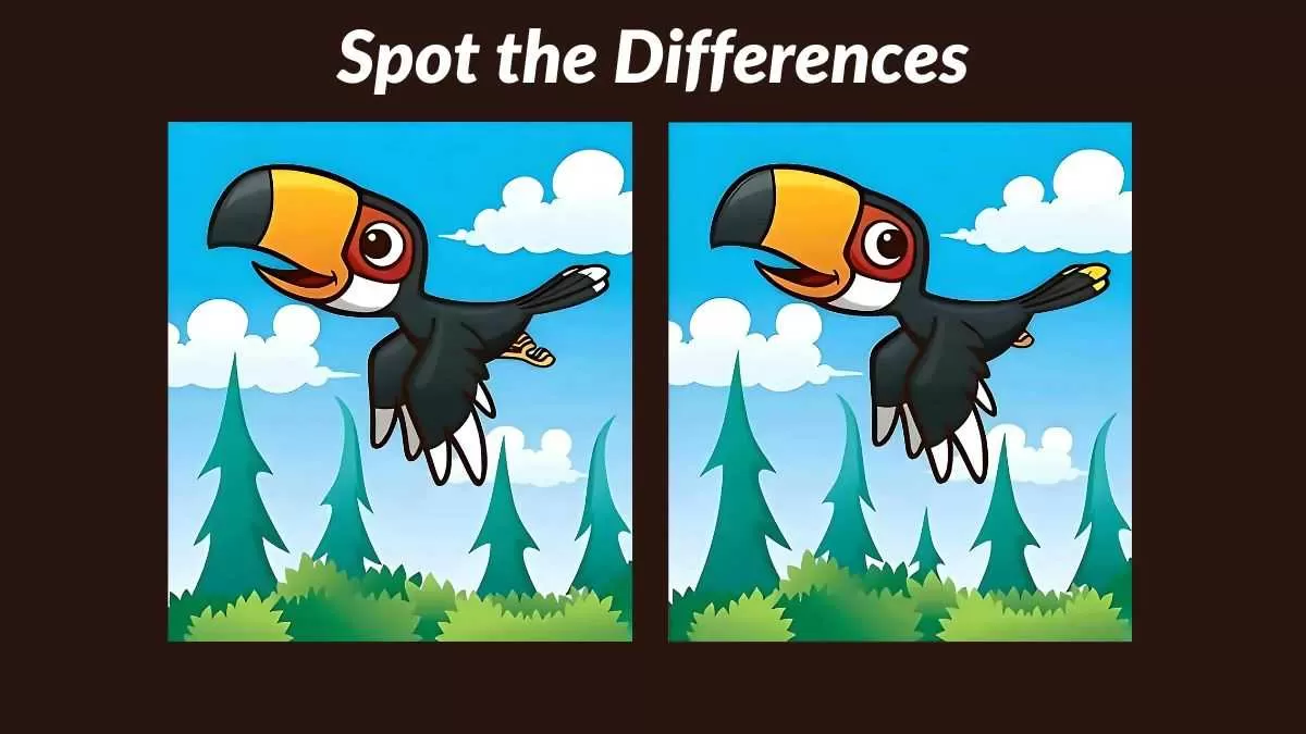 Spot 5 differences in 21 seconds