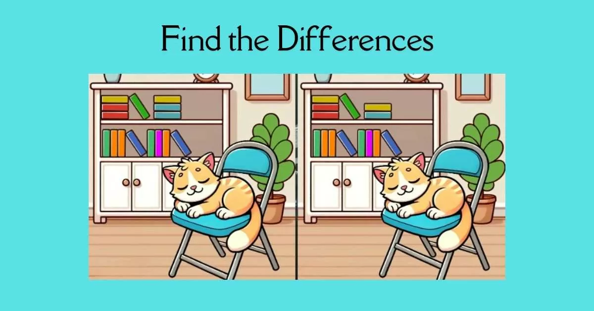Spot the 3 Differences in Cat Sleeping on a Chair