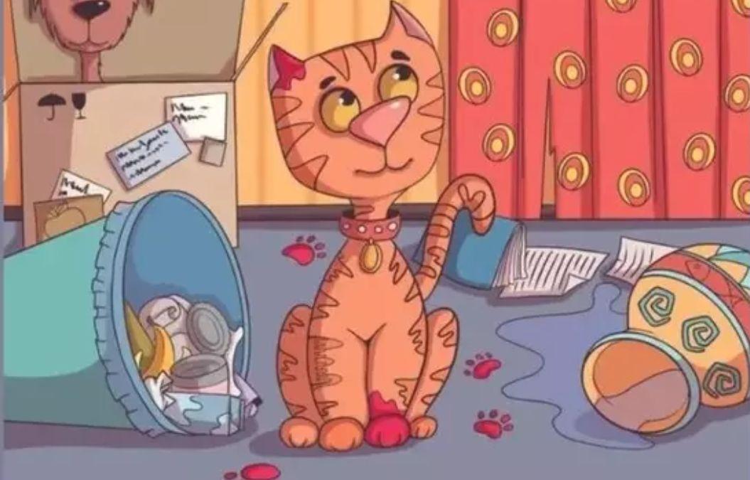 hidden optical illusions with answers