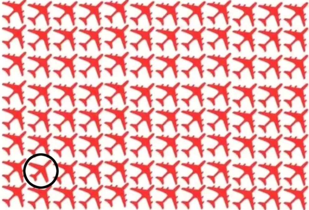 hidden optical illusions