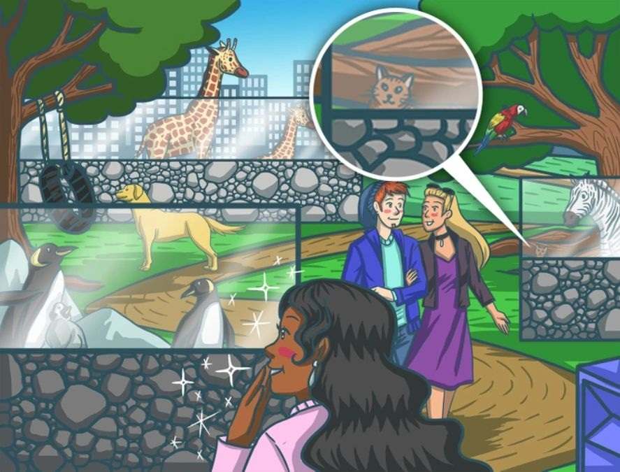 hidden optical illusions