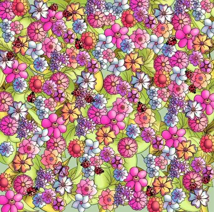 optical illusion pictures with hidden images