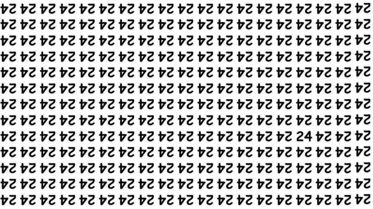 Spot The Hidden Number 24. 