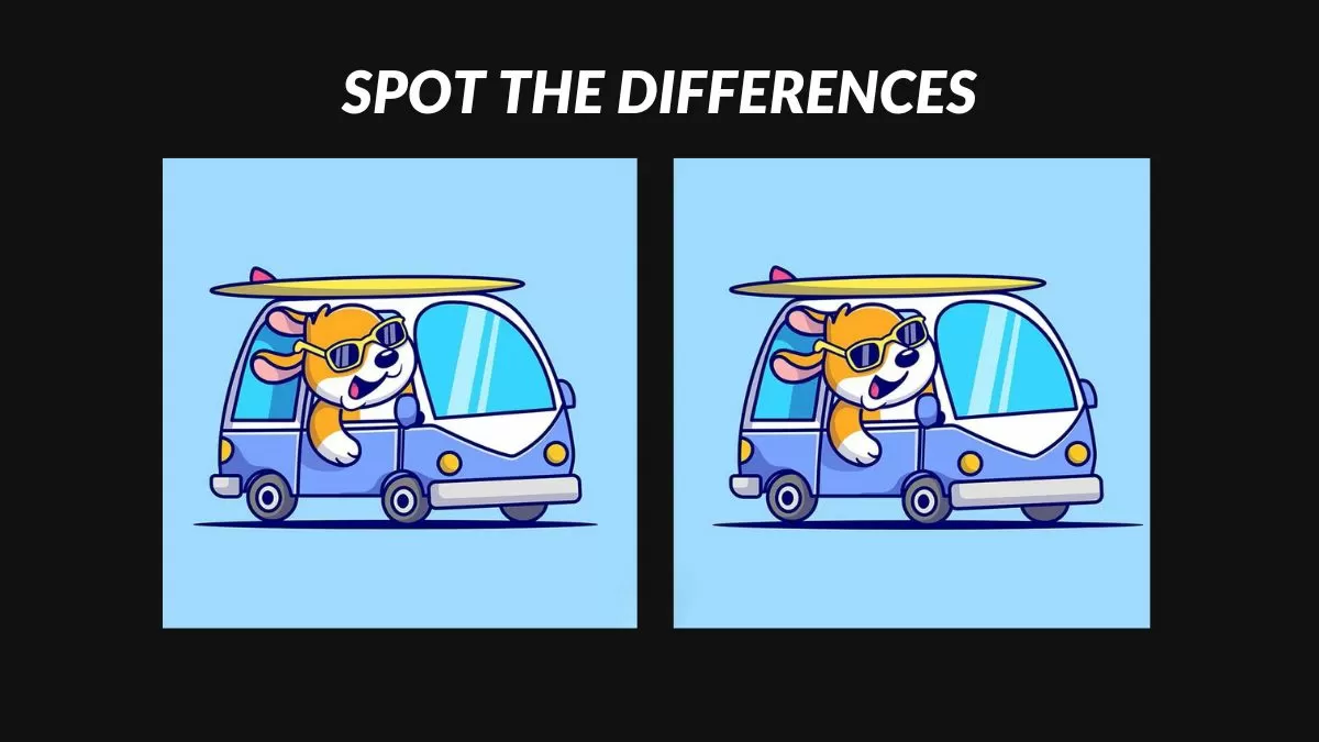 Spot 3 differences in 19 seconds