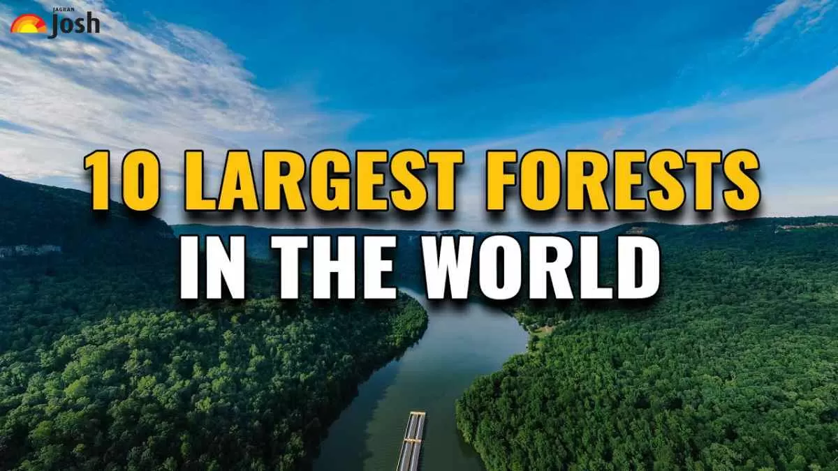 10 Largest Forests in the World