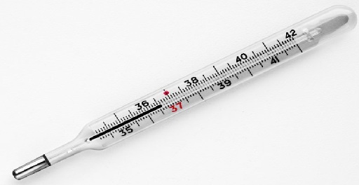 mercury thermometer