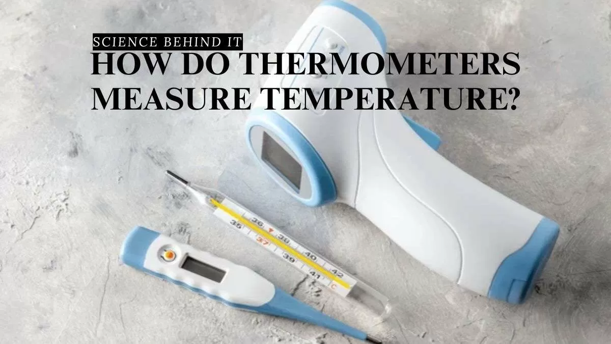 How Do Thermometers Measure Temperature?