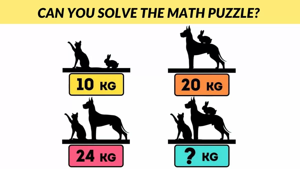 Can you solve the math puzzle?